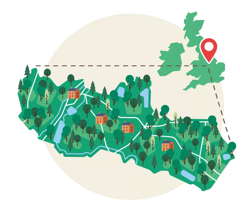 About the Forest | National Forest